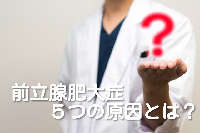 前立腺肥大症 原因
